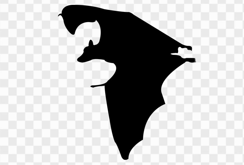 Silhouette Of A Flying Bat Clipart Png Transparent Image Free Download