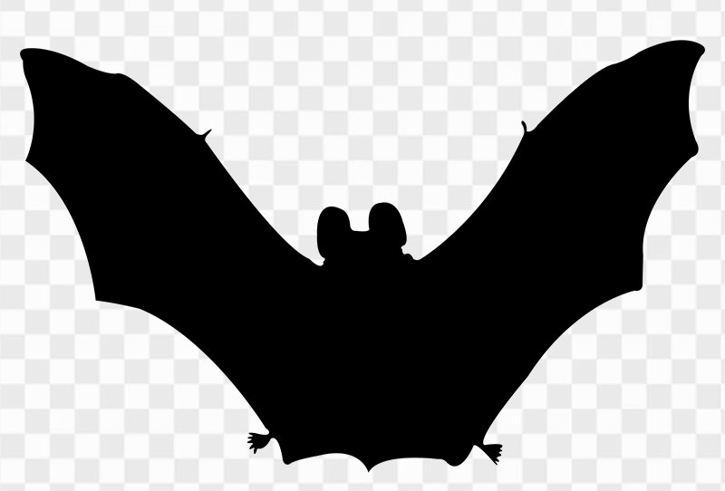 Transparent Bat Vampire Vector Silhouette Png Clipart Image Free Download