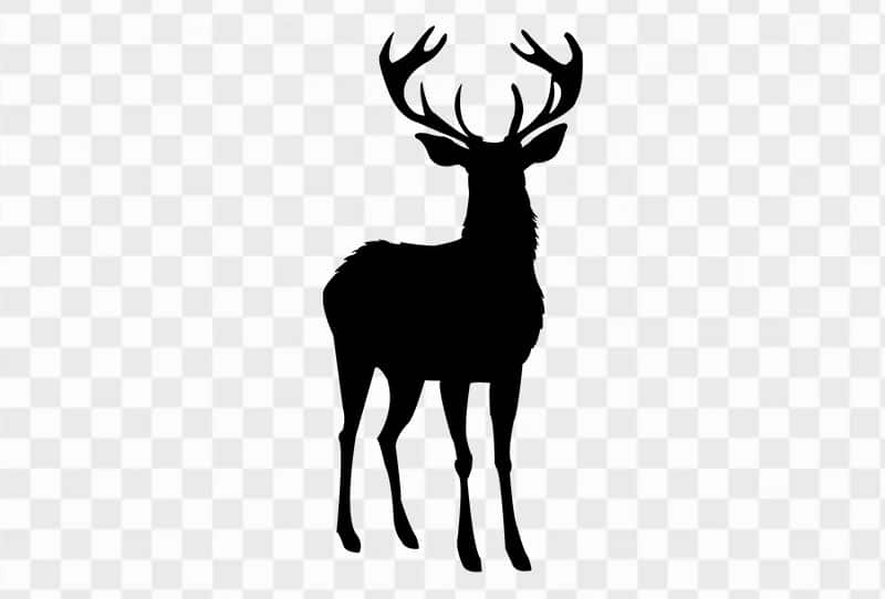 Free Deer Silhouette Clipart Png Image Transparent For Free Download