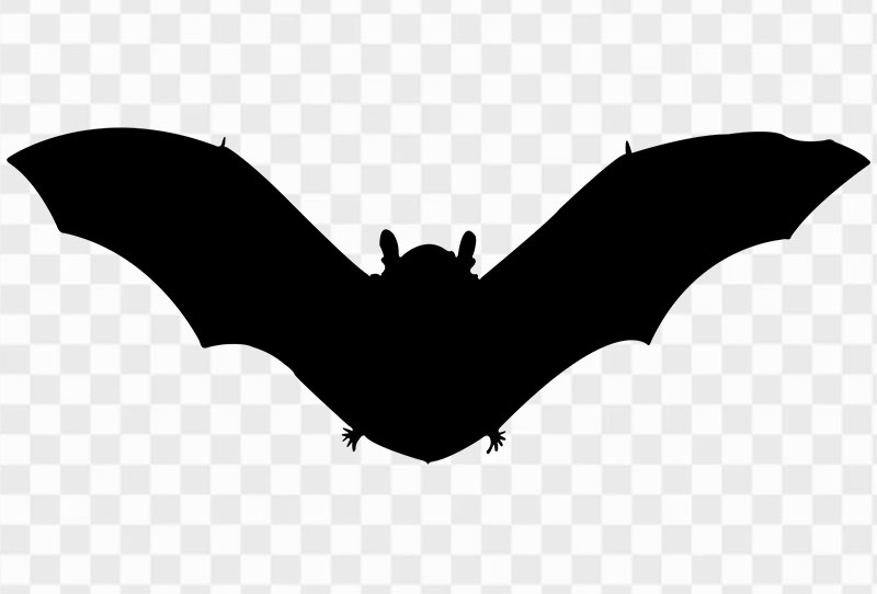 Drawing Of Vampire Bat Silhouette Png Clipart Image Transparent Free Download
