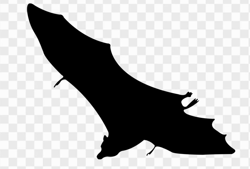 Halloween Scary Bat Silhouette Vector Clipart Png Transparent Free Download
