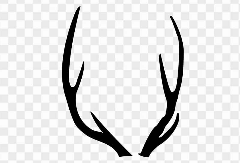 Black Silhouette Of Deer Antlers Vector Png Transparent Image Free Download