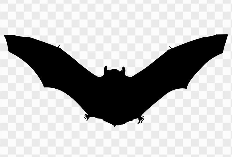 Scary Ghost Bat Silhouette Vector Clipart Png Image Transparent Free Download