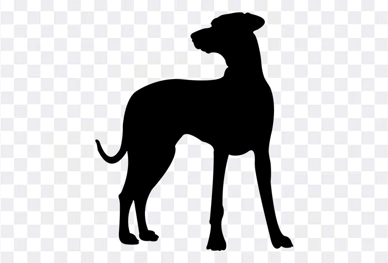 HQ Dog Standing And Looking Back Silhouette Clipart Png Image Transparent Free Download
