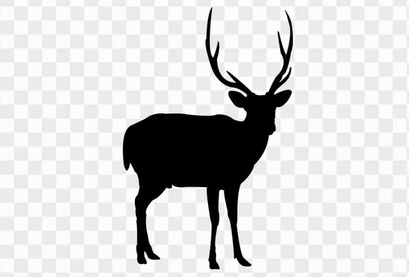 kaa600-deer-with-horns-silhouette-isolated-png-clipart-image-transparent-free-download-pngmango