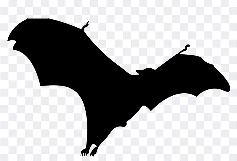 Black Isolated Bat Silhouette Png Clipart Image On Transparent Background Free Download