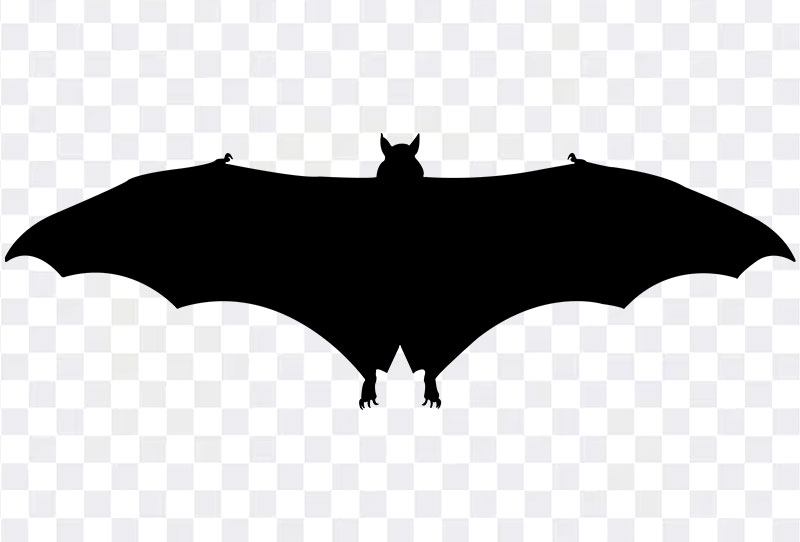 HQ Black Vampire Bat Silhouette Png Clipart Image Transparent Free Download