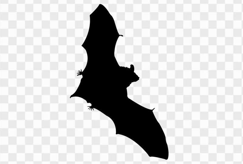 Halloween Scary Bat Silhouette Png Clipart Image With Transparent Background Free Download