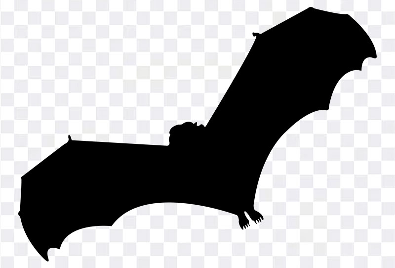 free silhouette of bat clipart png with transparent bbackkground for download