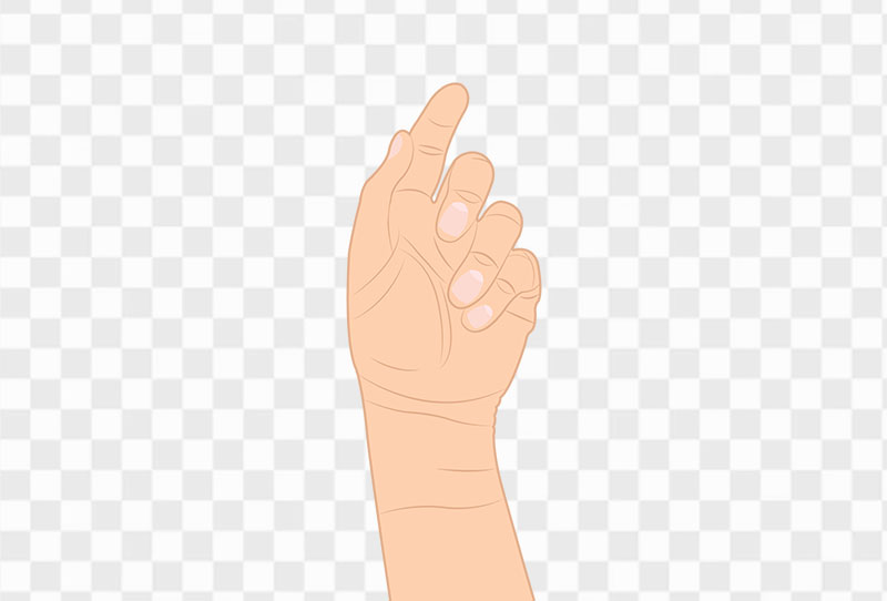 Left Hand Vector Clipart Png Image With Transparent Background For Free Download