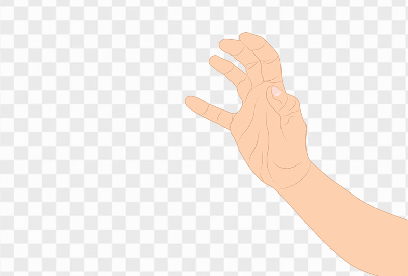 Human Hand Grabbing Cartoon Vector Clipart Png Image Transparent For Free Download