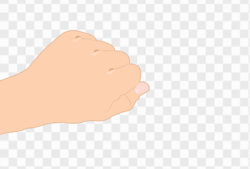 Cartoon Human Hand With Clenched Fist Vector Clipart Png Image Transparent Free Download