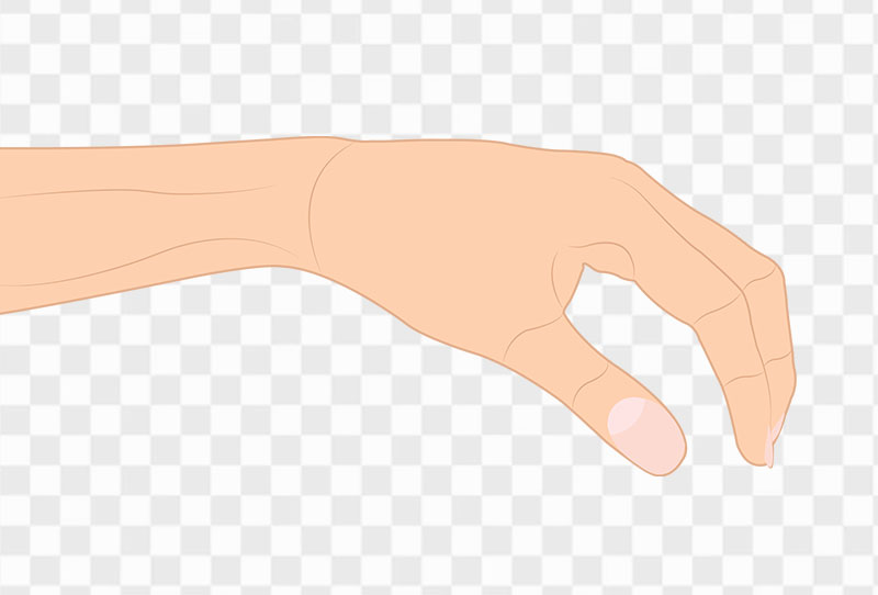 Download Cartoon Hand Picking Up Gesture Free Vector Png Clipart Image Without Background