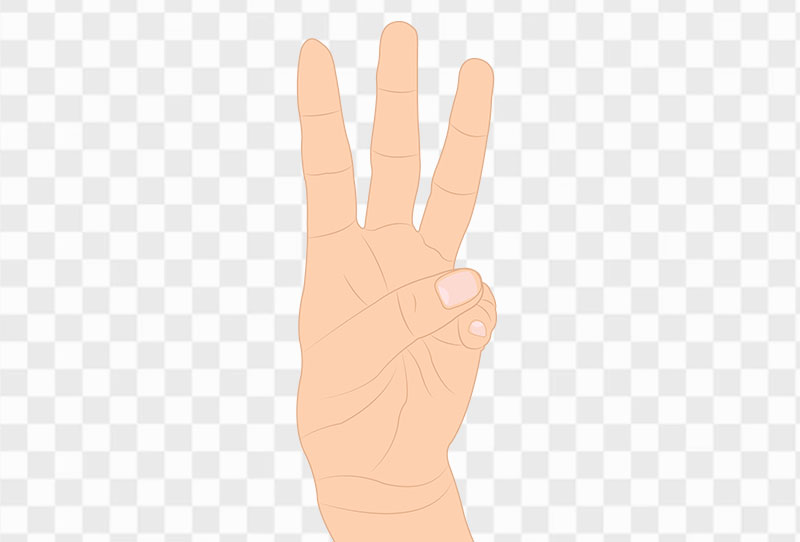 Cartoon Human Hand Showing Three Fingers Png Vector Clipart Image Free Download