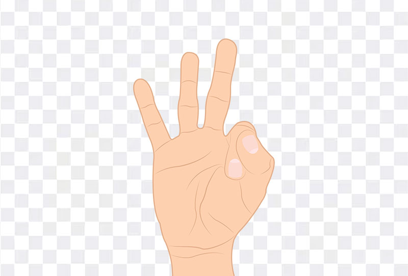 Hand Palm Cartoon Vector Png Clipart Image Transparent For Free Download