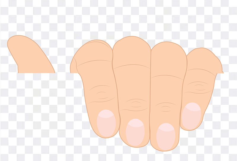 Download Cartoon Hand Holding Paper Vector Clipart Free Png Image With Clear Background