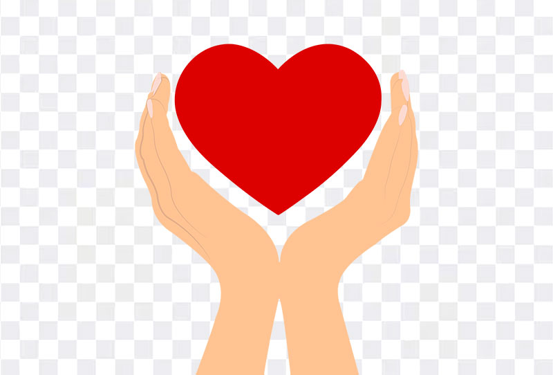 Free Two Hands Supporting Heart Vector Clipart Png Transparent Image For Download