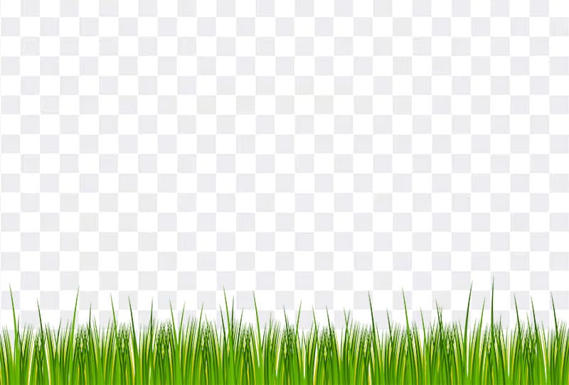 Grass Vector Png Transparent Image Free Download