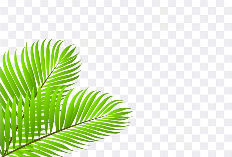Two Palm Leaves Vector Clipart Png Transparent Image Free Download