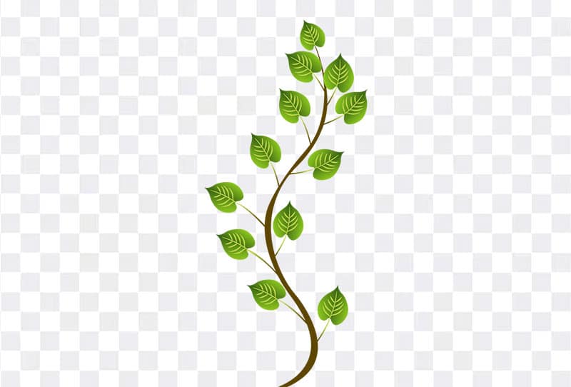 Green Tree Branch With Leaf Vector Clipart Png Image For Free Download