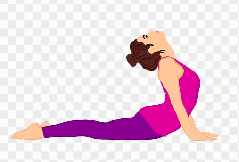 bnc854-young-woman-doing-bhujangasana-vector-clipart-png-transparent-image-for-free-download-pngmango