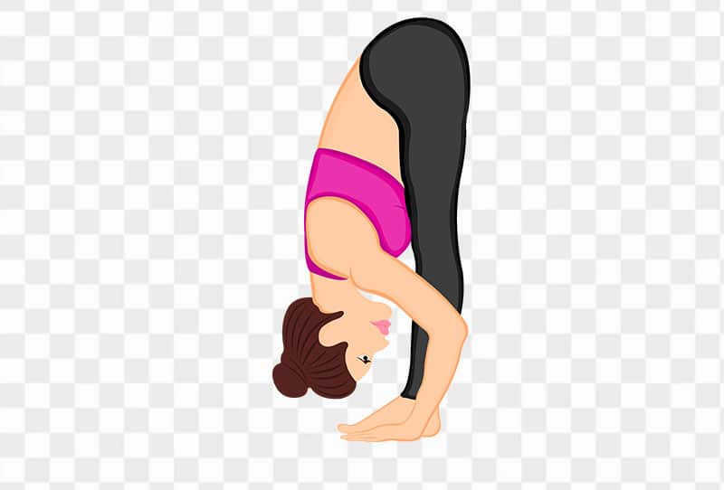 Woman Doing Standing Forward Bend Pose Uttanasana Vector Clipart Png Transparent Image Free Download